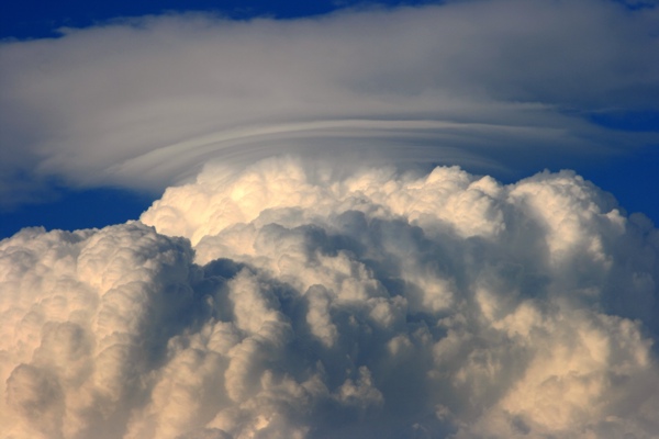 Pileus290707k_ 002k.jpg